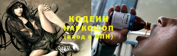 крисы Новодвинск