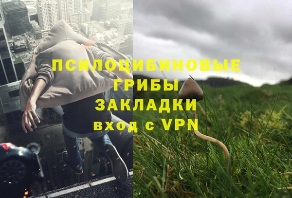 крисы Нефтегорск