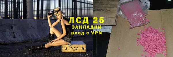 твердый Новозыбков