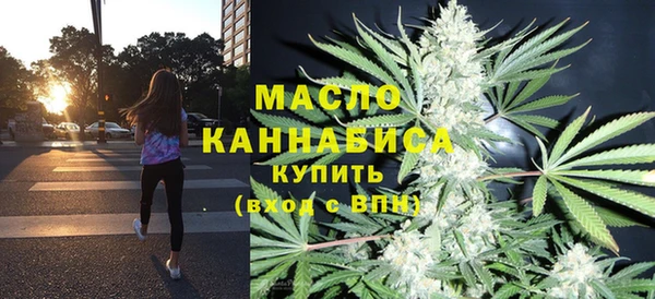 твердый Новозыбков