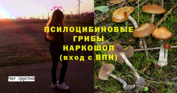 синтетический гашиш Белая Холуница