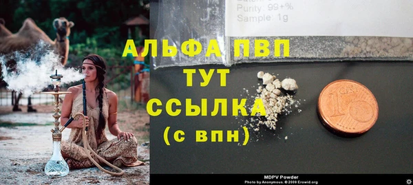 крисы Новодвинск