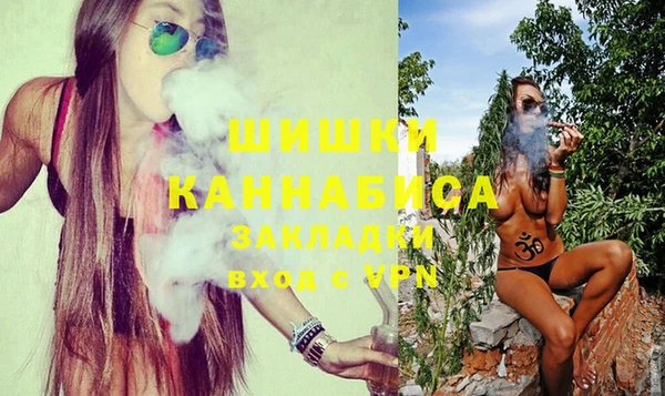 твердый Новозыбков