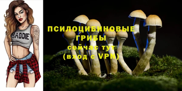 скорость mdpv Нея
