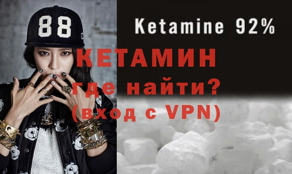 крисы Новодвинск