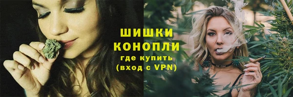 крисы Новодвинск
