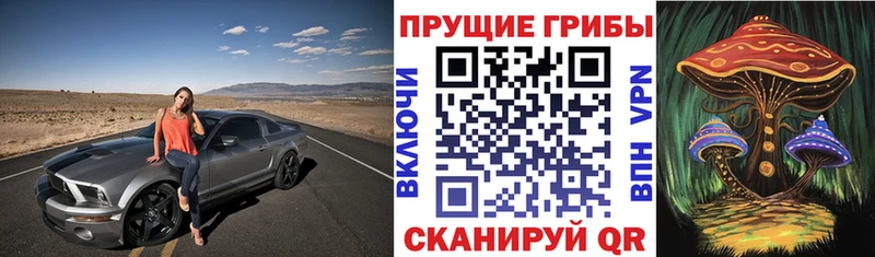 Псилоцибиновые грибы ЛСД  продажа наркотиков  Арсеньев 