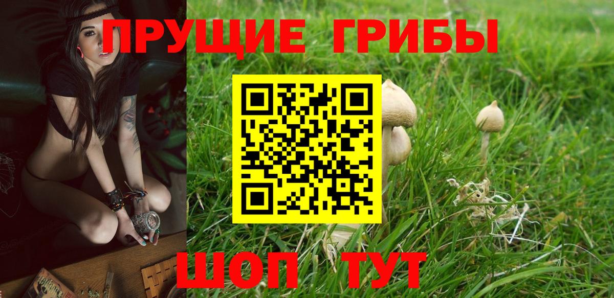 Галлюциногенные грибы мухоморы  Вход с VPN  Арсеньев 